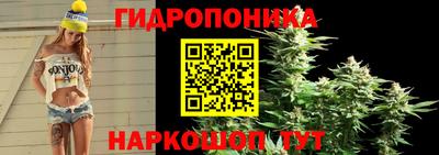индика Бузулук
