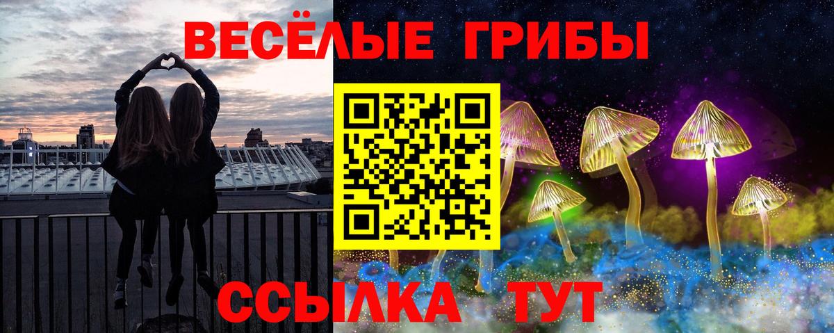 Псилоцибиновые грибы ЛСД Псков